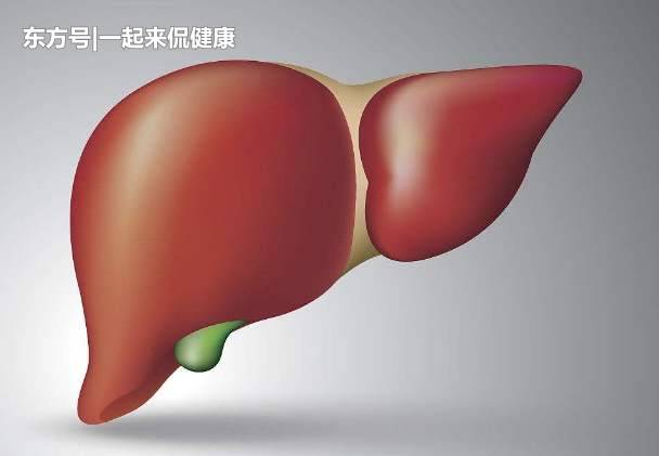适量饮酒，真的有益健康？别再自欺欺人了