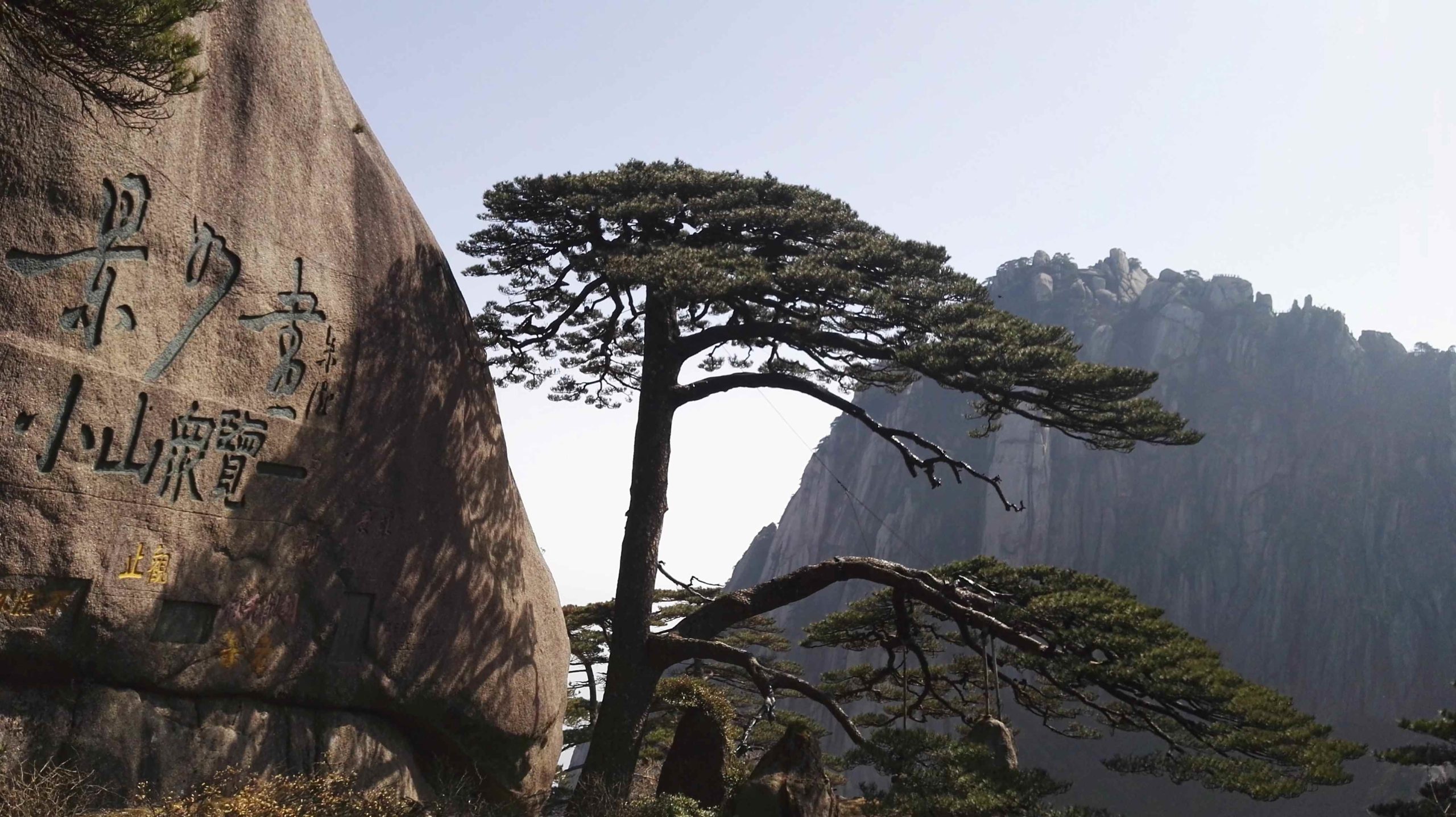 生活原本就是这样